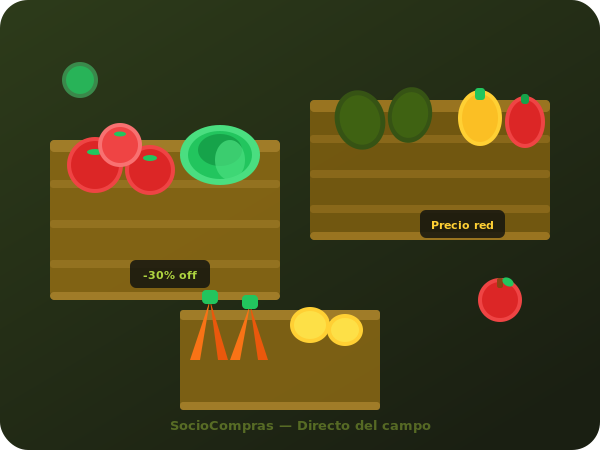 Cajas de frutas y verduras frescas listas para despacho a restaurantes
