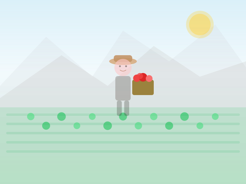 Agricultor chileno con caja de tomates frescos en el campo